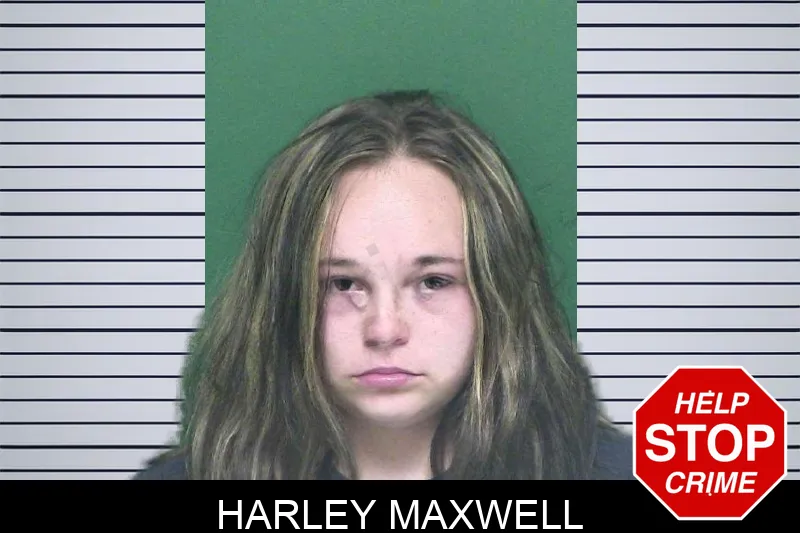 Harley Maxwell mugshot