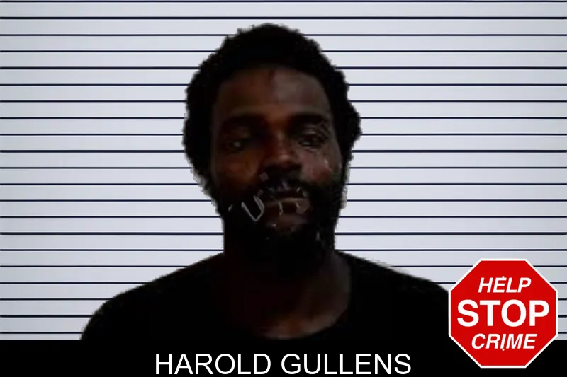 Harold Gullens mugshot