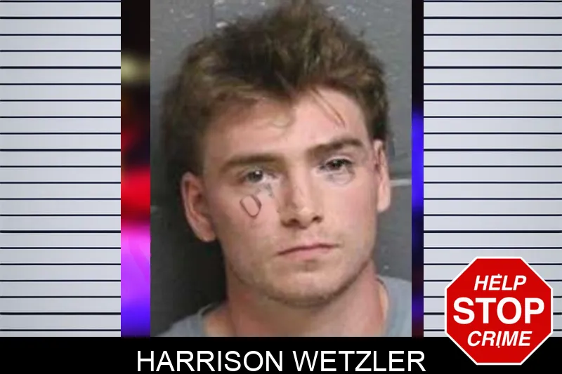 Harrison Wetzler mugshot