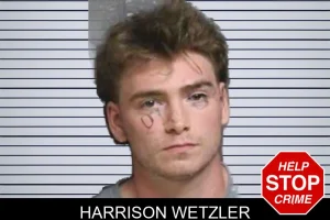 Harrison Wetzler mugshot