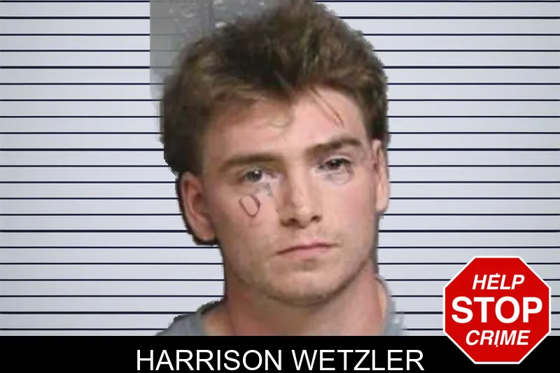 Harrison Wetzler mugshot
