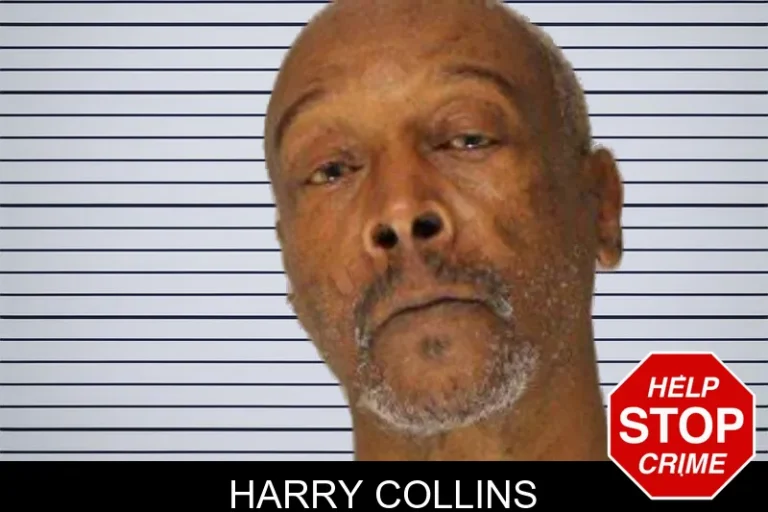 Harry Collins