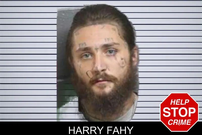 Harry Fahy mugshot