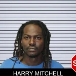 Harry Mitchell mugshot