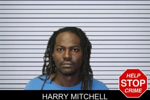 Harry Mitchell mugshot