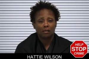 Hattie Wilson mugshot
