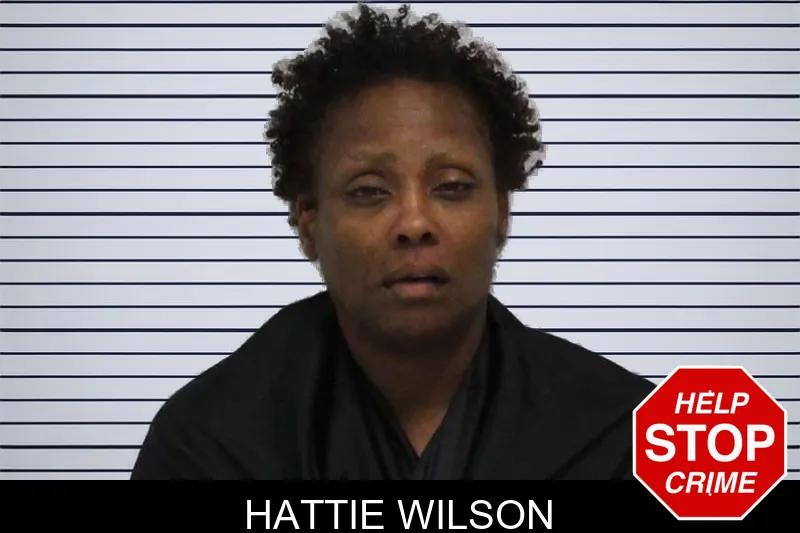 Hattie Wilson mugshot