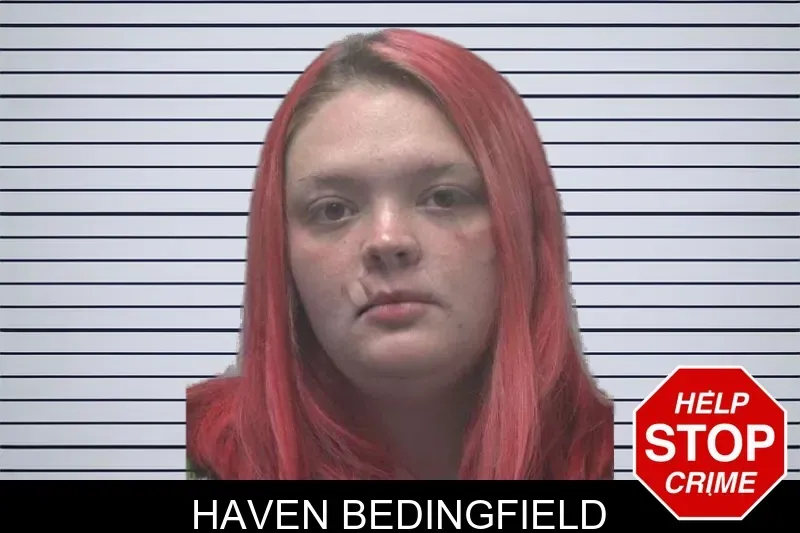 Haven Bedingfield mugshot