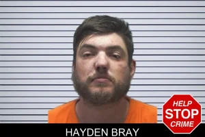 Hayden Bray mugshot