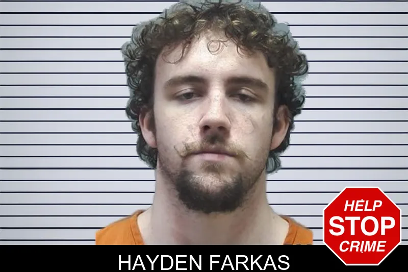 Hayden Farkas mugshot