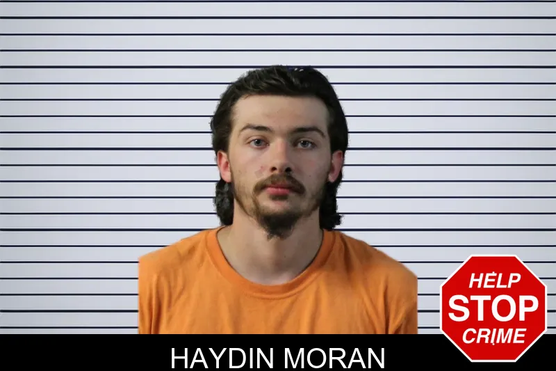 Haydin Moran mugshot