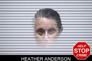 Heather Anderson mugshot