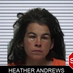 Heather Andrews mugshot – Laurens County , Georgia Heather Andrews mugshot