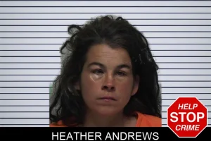 Heather Andrews mugshot