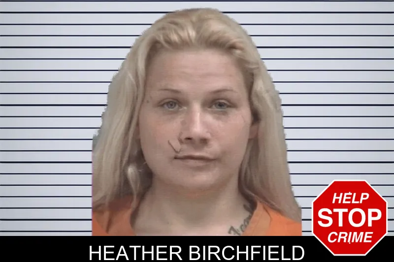 Heather Birchfield mugshot