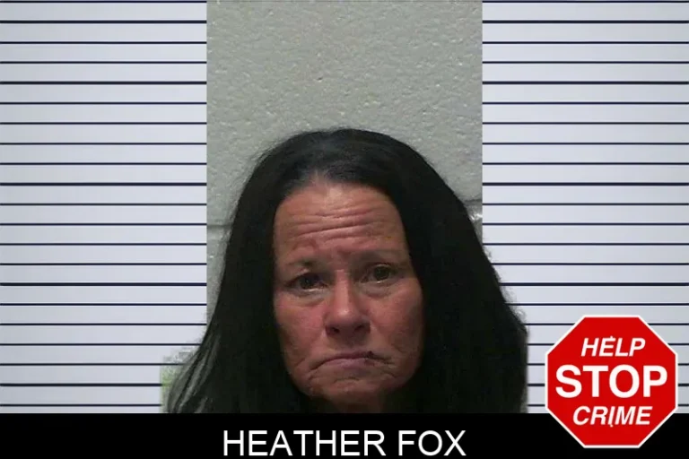 Heather Fox mugshot – Gilmer County , Georgia Heather Fox