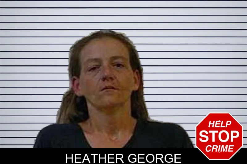 Heather George mugshot – Polk County , Georgia Heather George mugshot