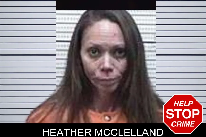 Heather McClelland mugshot