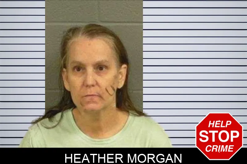 Heather Morgan mugshot