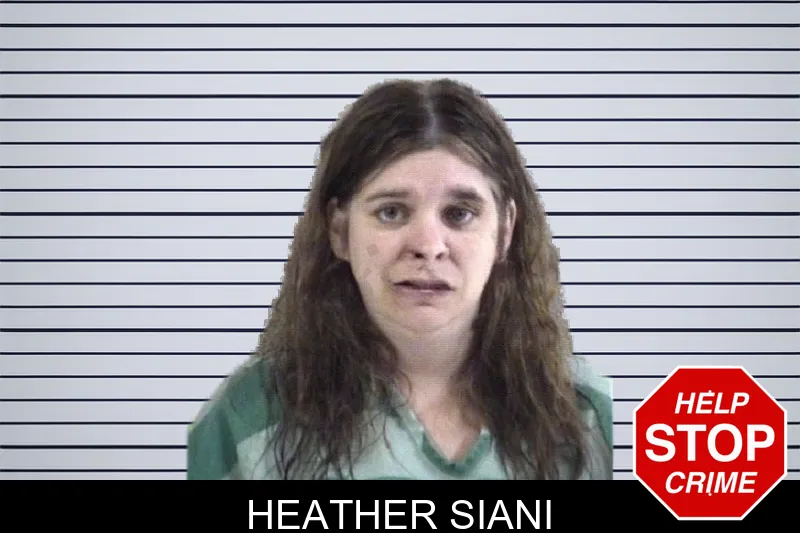Heather Siani mugshot