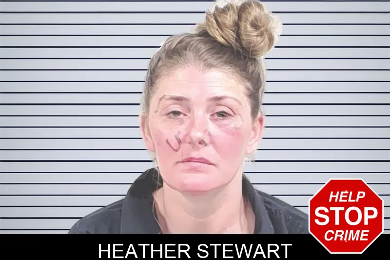 Heather Stewart mugshot – Lowndes County , Georgia Heather Stewart mugshot