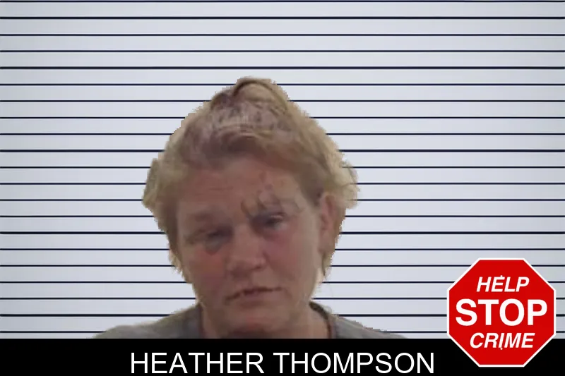 Heather Thompson mugshot