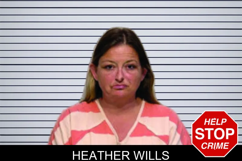 Heather Wills mugshot