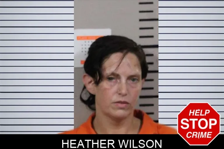 Heather Wilson