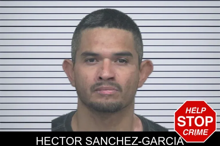 Hector Sanchez-Garcia
