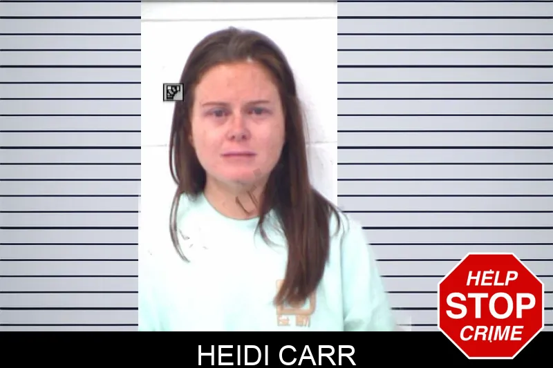 Heidi Carr mugshot – Emanuel County , Georgia Heidi Carr mugshot