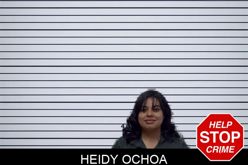 Heidy Ochoa mugshot