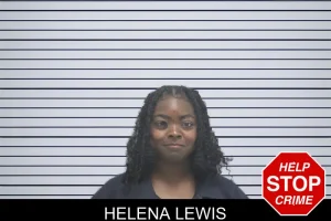Helena Lewis mugshot