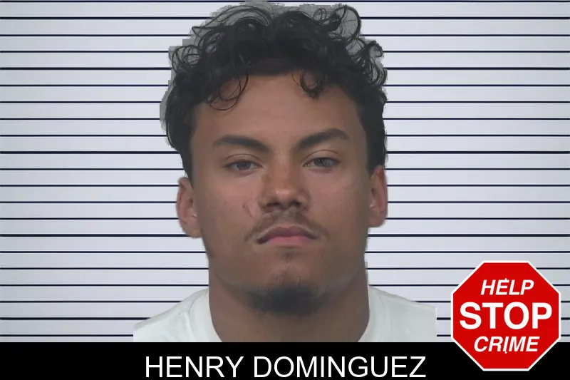 Henry Dominguez mugshot