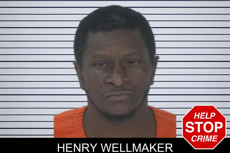 Henry Wellmaker mugshot