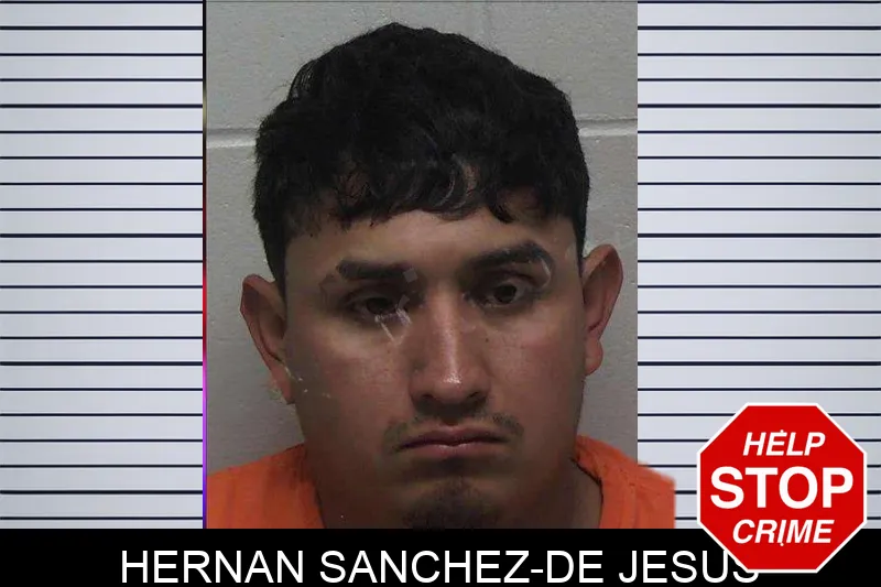 Hernan Sanchez-De Jesus mugshot – Laurens County , Georgia Hernan Sanchez-De Jesus mugshot