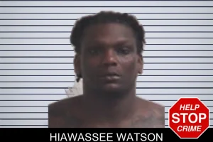 Hiawassee Watson mugshot