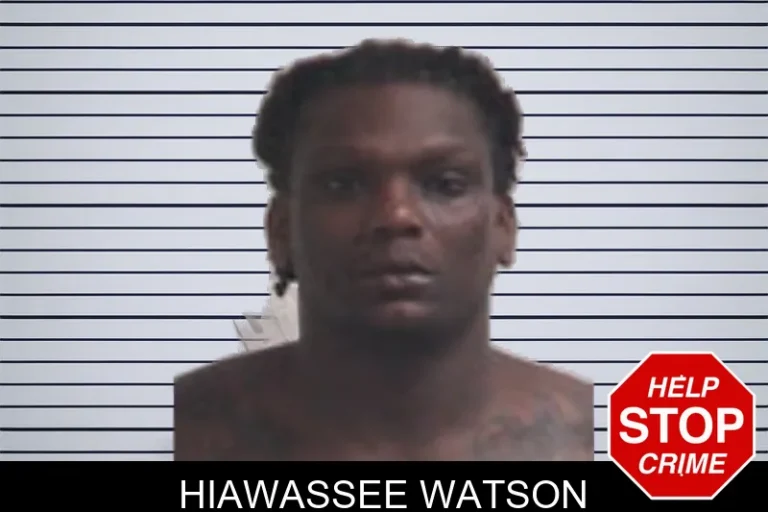 Hiawassee Watson