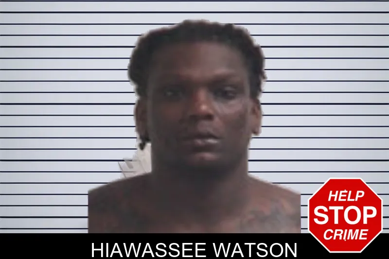 Hiawassee Watson mugshot