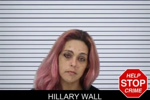 Hillary Wall mugshot
