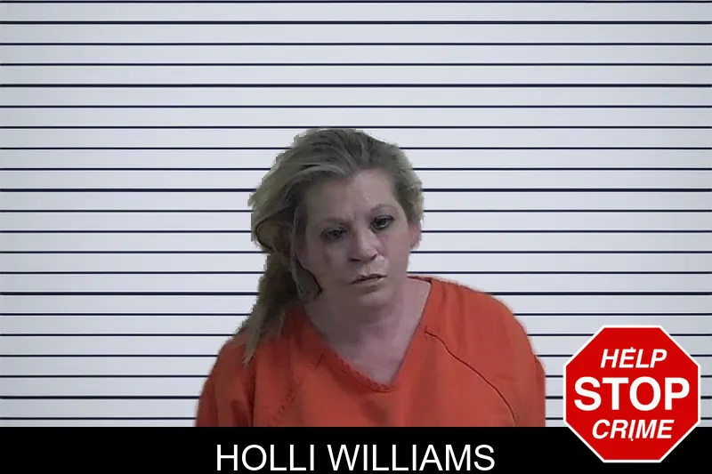 Holli Williams mugshot – Fannin County , Georgia Holli Williams mugshot
