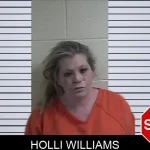 Holli Williams mugshot – Fannin County , Georgia Holli Williams mugshot