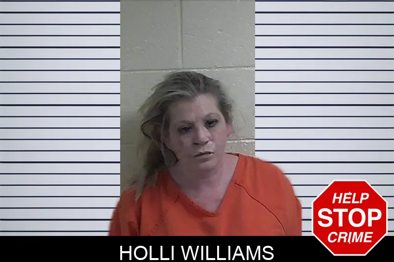 Holli Williams mugshot