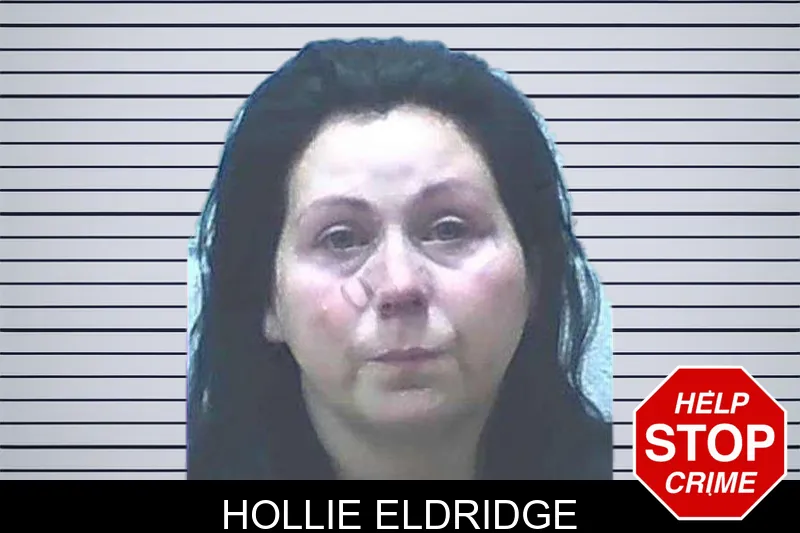 Hollie Eldridge mugshot
