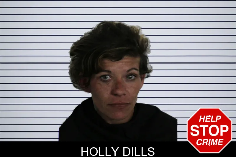 Holly Dills mugshot