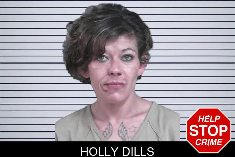 Holly Dills mugshot