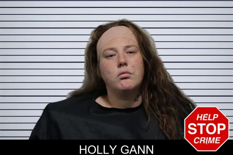 Holly Gann mugshot – Habersham County , Georgia Holly Gann