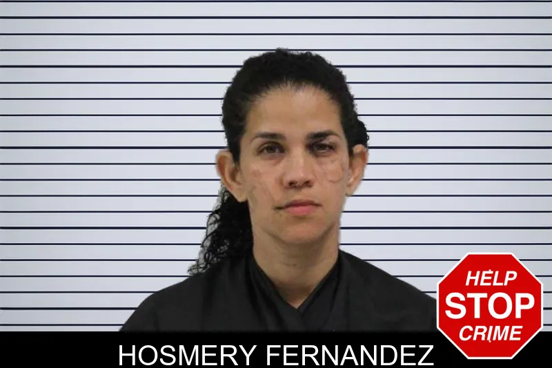 Hosmery Fernandez mugshot