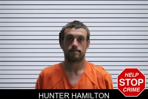 Hunter Hamilton mugshot