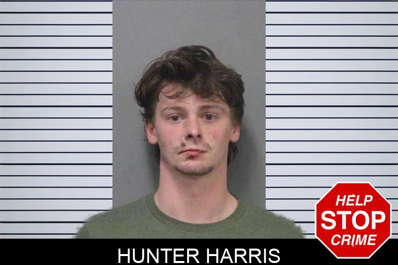 Hunter Harris mugshot – White County , Georgia Hunter Harris mugshot