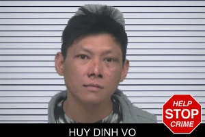 Huy Dinh Vo mugshot